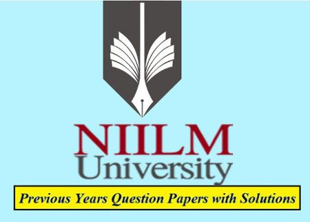 NIILM University