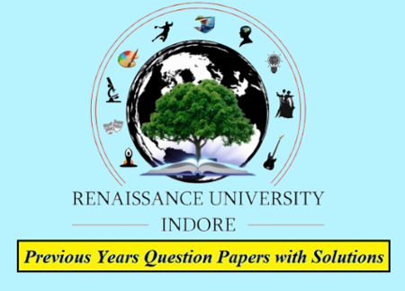 Renaissance University